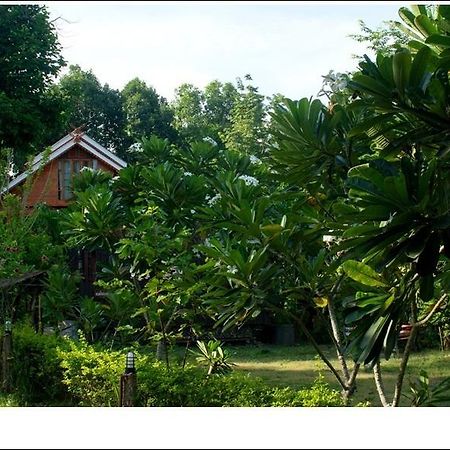 Phuphiangkhiangfah Resort Нан Номер фото